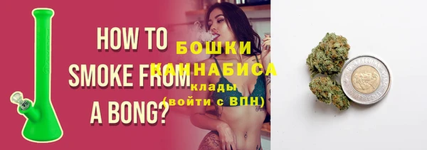 шишки Белоозёрский