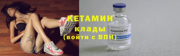шишки Белоозёрский