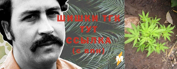 шишки Белоозёрский