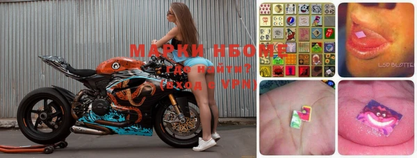 шишки Белоозёрский