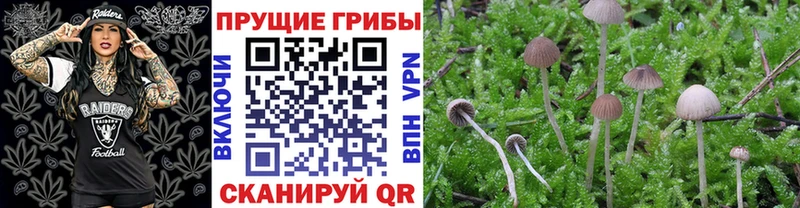 Псилоцибиновые грибы мухоморы  даркнет сайт  Мариинский Посад 